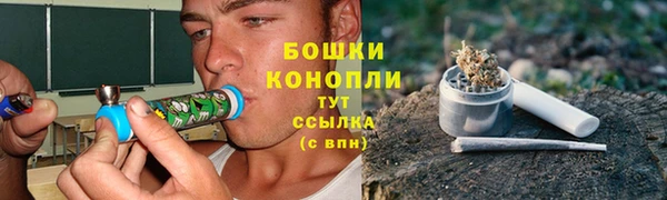 ешки Горнозаводск