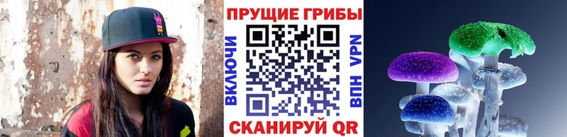 Галлюциногенные грибы GOLDEN TEACHER  Брянск 